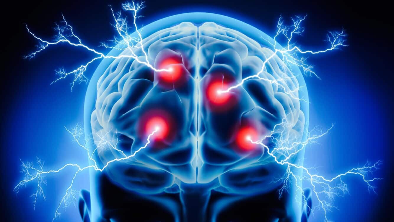 Cerveau corps énergie